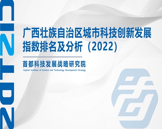 女人被大鸡把猛操18【成果发布】广西壮族自治区城市科技创新发展指数排名及分析（2022）